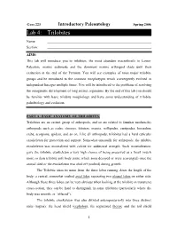 Lab 4: Trilobites
