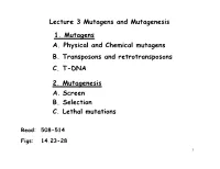 Lecture 3 Mutagens and Mutagenesis A. Physical and Chemical