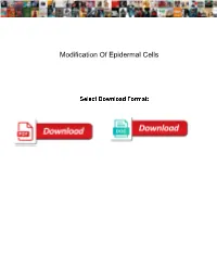 Modification of Epidermal Cells