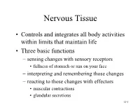 Nervous Tissue