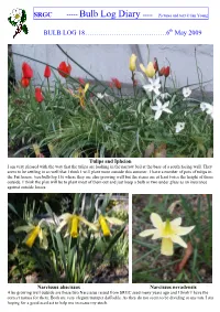 SRGC BULB LOG DIARY---Pictures and Text © Ian Young