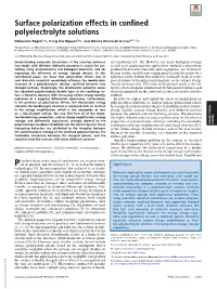 Surface Polarization Effects in Confined Polyelectrolyte Solutions