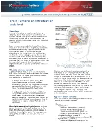 Brain Tumors: an Introduction Basic Level