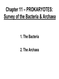 Chapter 11 – PROKARYOTES: Survey of the Bacteria & Archaea