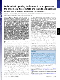 Endothelin-2 Signaling in the Neural Retina Promotes the Endothelial Tip Cell State and Inhibits Angiogenesis