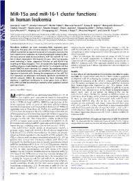 Mir-15A and Mir-16-1 Cluster Functions in Human Leukemia