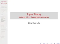 Topos Theory