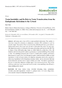 Toxin Instability and Its Role in Toxin Translocation from the Endoplasmic Reticulum to the Cytosol