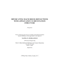 Bifurcating Mach Shock Reflections with Application to Detonation Structure