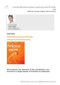 Highlights Microtubules, Key Elements of the Cytoskeleton, Are Involved In