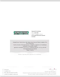 Redalyc.Toxicity Evaluation of Two Insecticides on Tetragonisca