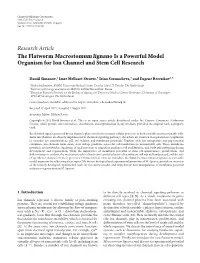 The Flatworm Macrostomum Lignano Is a Powerful Model Organism for Ion Channel and Stem Cell Research