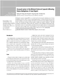 Unusual Lesion in the Bilateral External Capsule Following Status Epilepticus: a Case Report