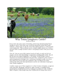 Why Texas Longhorn Cattle? by Russell Hooks