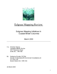 Eelgrass Mapping Review
