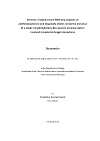Genome, Mutational and RNA-Seq Analyses of Janthinobacterium And