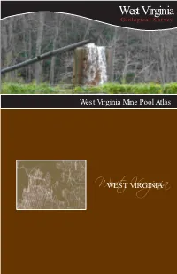 Mine Pool Atlas