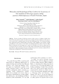 Molecular and Morphological Data Confirm the Occurrence of Two