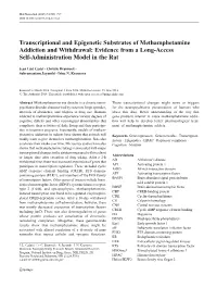 Transcriptional and Epigenetic Substrates of Methamphetamine Addiction and Withdrawal: Evidence from a Long-Access Self-Administration Model in the Rat