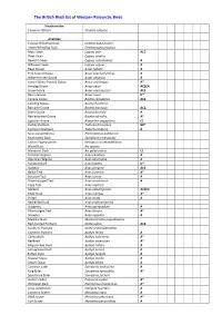BB List 2016V1