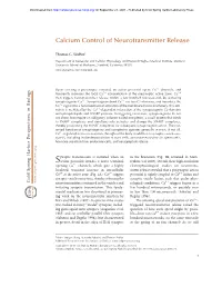 Calcium Control of Neurotransmitter Release