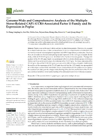 (CCR4-Associated Factor 1) Family and Its Expression in Poplar