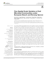 Fine Spatial Scale Variation of Soil Microbial Communities Under European Beech and Norway Spruce