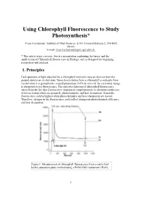 Using Chlorophyll Fluorescence to Study Photosynthesis*