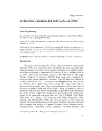 Viewed by Zhang and Yu (1992) and Illustrations Were Provided, but the Old Collections Filed Under Lachnea Had Not Been Studied at This Time