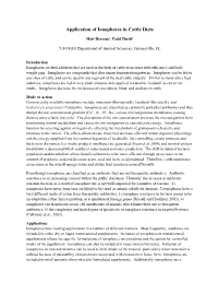 Application of Ionophores in Cattle Diets
