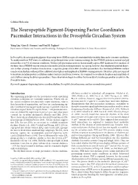 The Neuropeptide Pigment-Dispersing Factor Coordinates Pacemaker Interactions in the Drosophila Circadian System