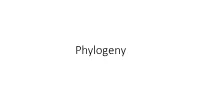 Phylogeny Codon Models • Last Lecture: Poor Man’S Way of Calculating Dn/Ds (Ka/Ks) • Tabulate Synonymous/Non-Synonymous Substitutions • Normalize by the Possibilities