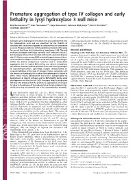 Premature Aggregation of Type IV Collagen and Early Lethality in Lysyl Hydroxylase 3 Null Mice