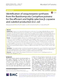Identification of Sesquiterpene Synthases from the Basidiomycota Coniophora Puteana for the Efficient and Highly Selective Β-Co