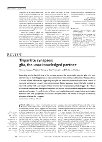 Tripartite Synapses: Glia, the Unacknowledged Partner