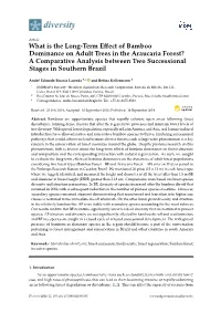 What Is the Long-Term Effect of Bamboo Dominance on Adult Trees