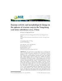 Enzyme Activity and Morphological Change in the Spleens of Crucian Carp in the Yongcheng Coal Mine Subsidence Area, China