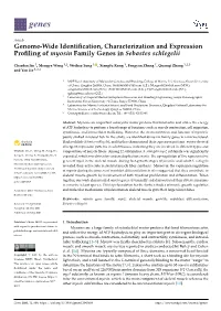 Genome-Wide Identification, Characterization and Expression