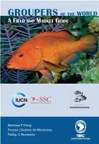 Groupers A-C Part1 JG.Indd
