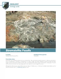 Stromatolite Fossils SOURCE: ONTARIO PARKS ONTARIO SOURCE