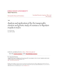 Analysis and Application of the En Transposable Element and Genetic Study of Resistance to Bipolaris Maydis in Maize Ru-Ying Chang Iowa State University