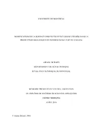 Modification De La Surface Des Filets D'exclusion Utilisés Dans La