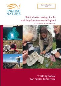 Reintroduction Strategy for the Pool Frog Rana Lessonaein England