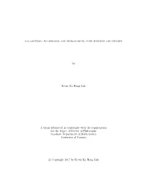 Logarithmic Algebroids and Meromorphic Line Bundles and Gerbes