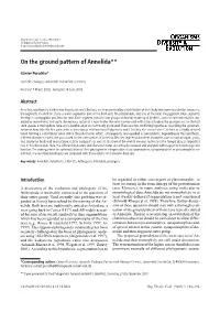 On the Ground Pattern of Annelida**