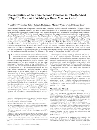 Wild-Type Bone Marrow Cells ) Mice with −/− in C1q-Deficient (C1qa