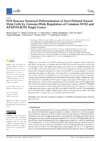 FOS Rescues Neuronal Differentiation of Sox2-Deleted Neural Stem Cells by Genome-Wide Regulation of Common SOX2 and AP1(FOS-JUN) Target Genes