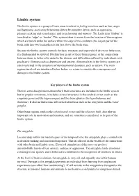 LIMBIC SYSTEM.Pdf