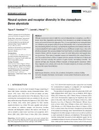 Neural System and Receptor Diversity in the Ctenophore Beroe Abyssicola