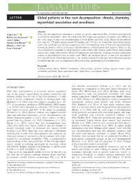 Global Patterns in Fine Root Decomposition: Climate, Chemistry